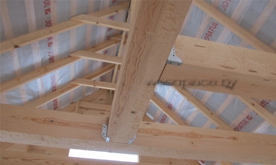 Фотоотчёт "Дочное поле"