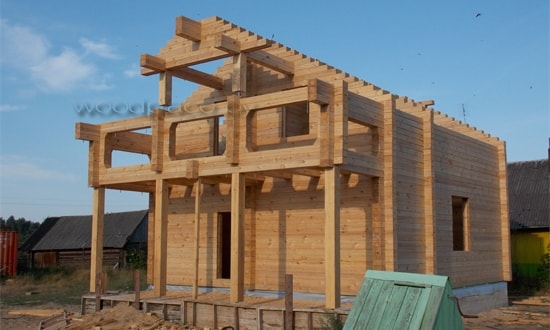 Фотоотчёт "Заповедник"