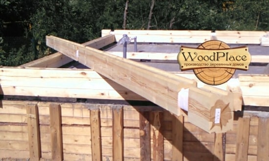 Фотоотчет  "Слоним"