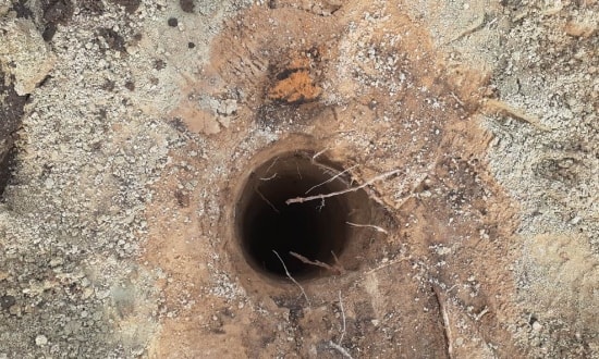 Фотоотчет "Боровляны" @22.05.2020