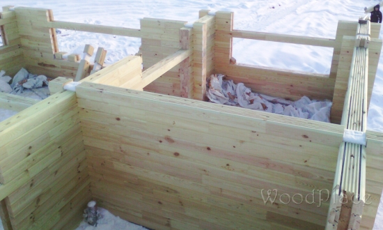 Проект  "Серенада"