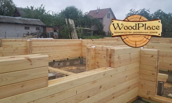 Фотоотчет "Красавец"