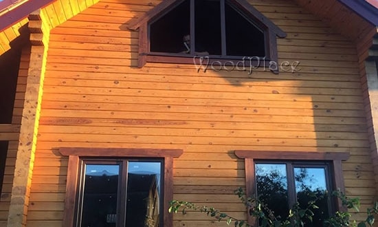 Фотоотчёт  "Лебеди"