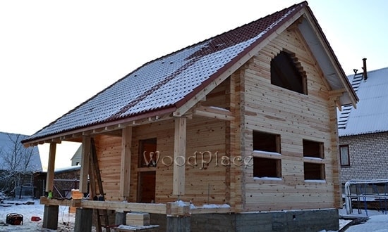 Фотоотчёт  "Лебеди"