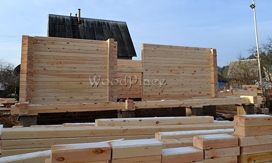 Фотоотчёт  "Лебеди"