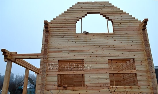 Фотоотчёт  "Лебеди"