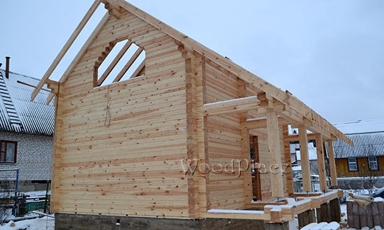 Фотоотчёт  "Лебеди"