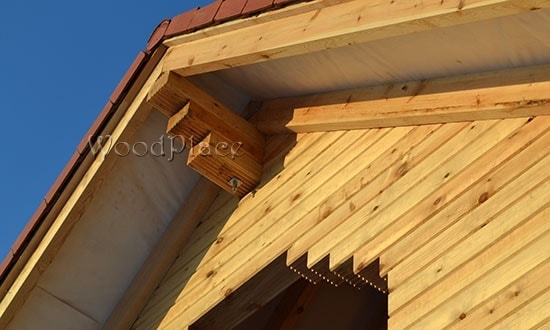 Фотоотчёт  "Лебеди"