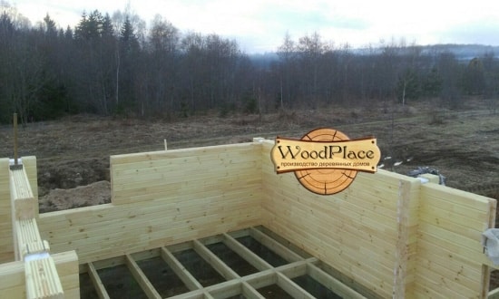 Фотоотчет  "Любимец"