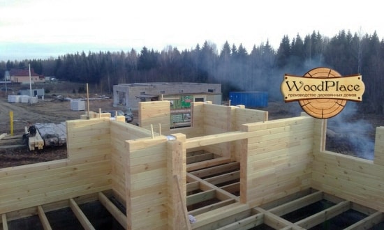 Фотоотчет  "Любимец"