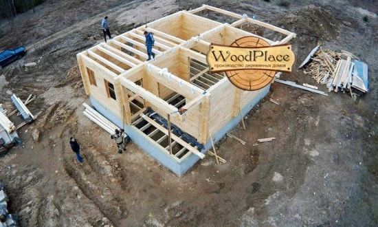 Фотоотчет  "Любимец"