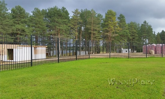 Фотоотчет "Гринголд парк"