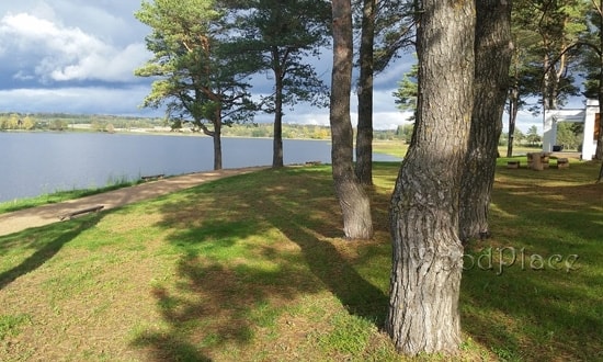 Фотоотчет "Гринголд парк"