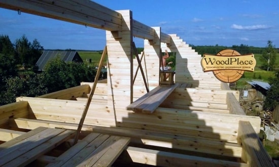 Фотоотчет  "Тайга"