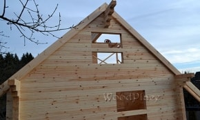 Фотоотчёт  "Арлекино"