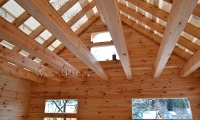 Фотоотчёт  "Арлекино"