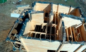 Фотоотчет  "Любимец"