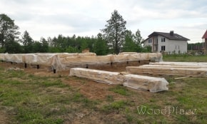 Фотоотчет  "Каир"  @14.08.2017