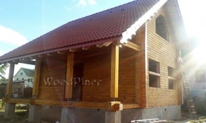 Фотоотчёт  "Лебеди"