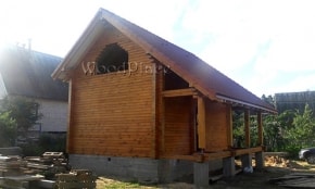 Фотоотчёт  "Лебеди"