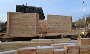 Фотоотчёт  "Лебеди"