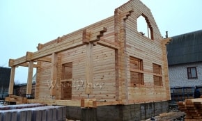 Фотоотчёт  "Лебеди"