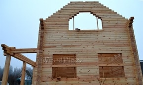 Фотоотчёт  "Лебеди"