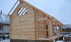 Фотоотчёт  "Лебеди"