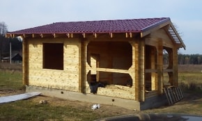 Фотоотчёт "Лесная поляна"