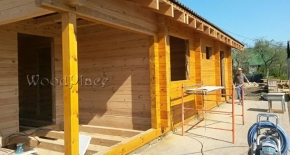 Фотоотчёт  "Владимир"