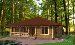 Проект дома "Старобин"