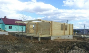 Фотоотчет  "Любимец"