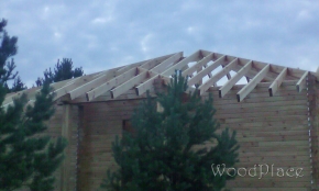 Фотоотчет  "Таежный бор"  @14.08.2017