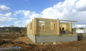 Фотоотчет  "Любимец"