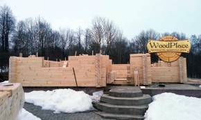 Проект "Зимний сад" @19.06.2018