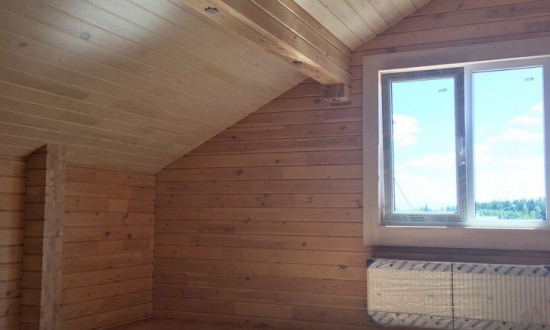 Фотоотчет  "Любимец"