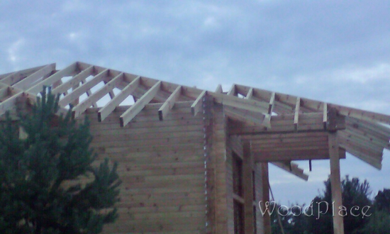 Фотоотчет  "Таежный бор"  @14.08.2017