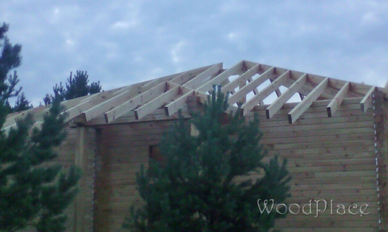 Фотоотчет  "Таежный бор"  @14.08.2017