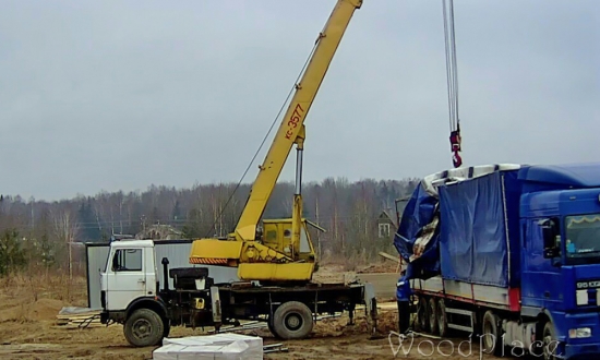 Фотоотчет  "Любимец"